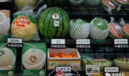 吃瓜奢侈的语言