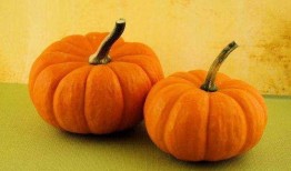 吃嫩瓜南瓜品种,探寻南瓜新宠——吃嫩瓜南瓜品种大揭秘